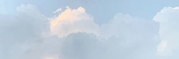ana cainelli's banner