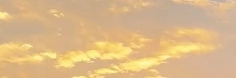 放不放假's banner