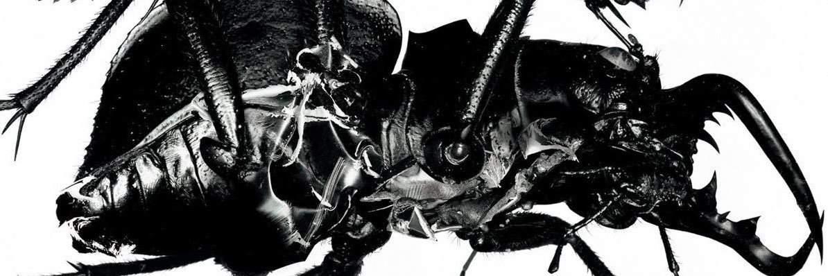 lohan †'s banner