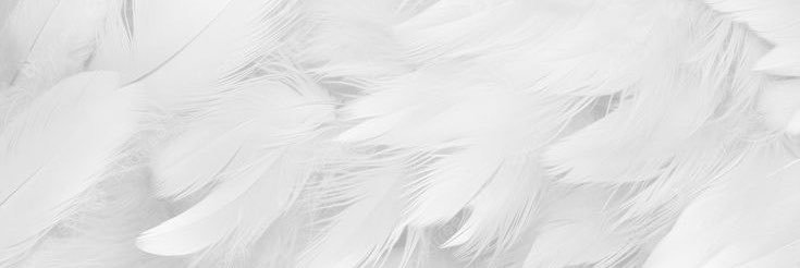 ˚₊໒꒰ྀིAva꒱ྀི১₊˚'s banner