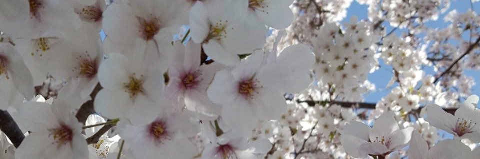 み's banner