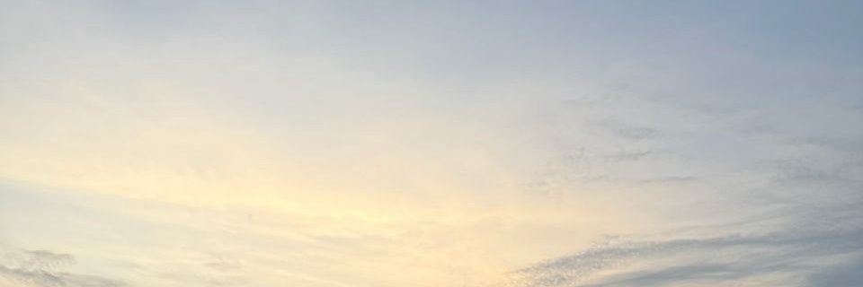 ✨️sexyhot✨️'s banner