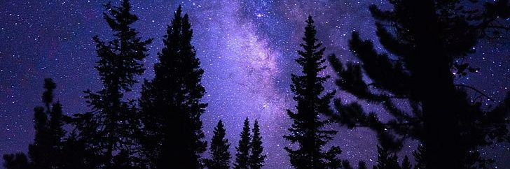 𝑪𝒂𝒓𝒐𝒍𝒊𝒏𝒂✿⊱╮'s banner