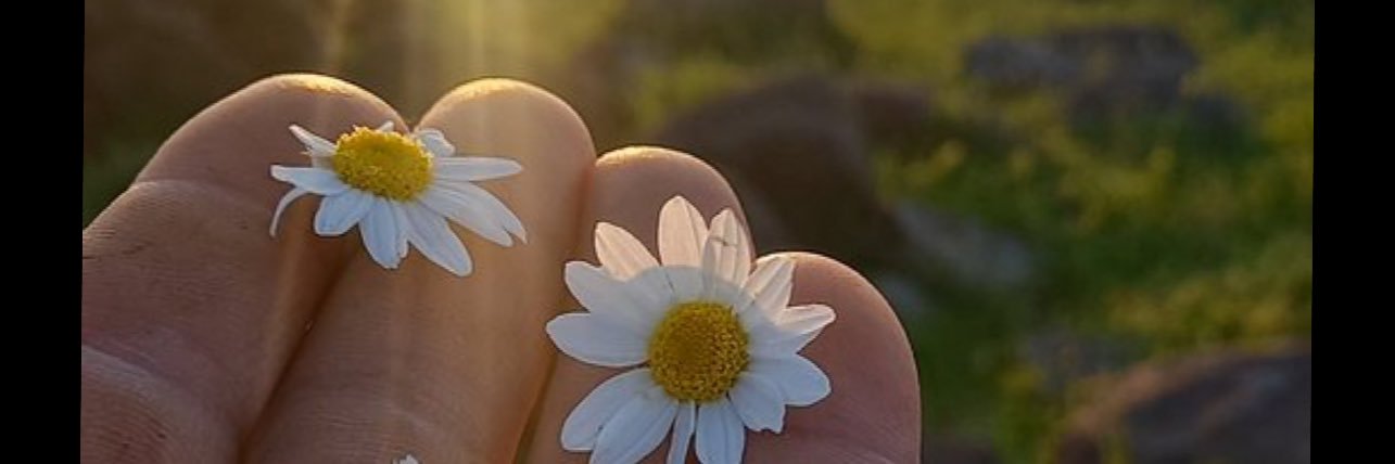 beybûn21's banner