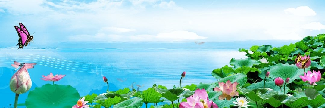 (❍ᴥ❍ʋ)'s banner