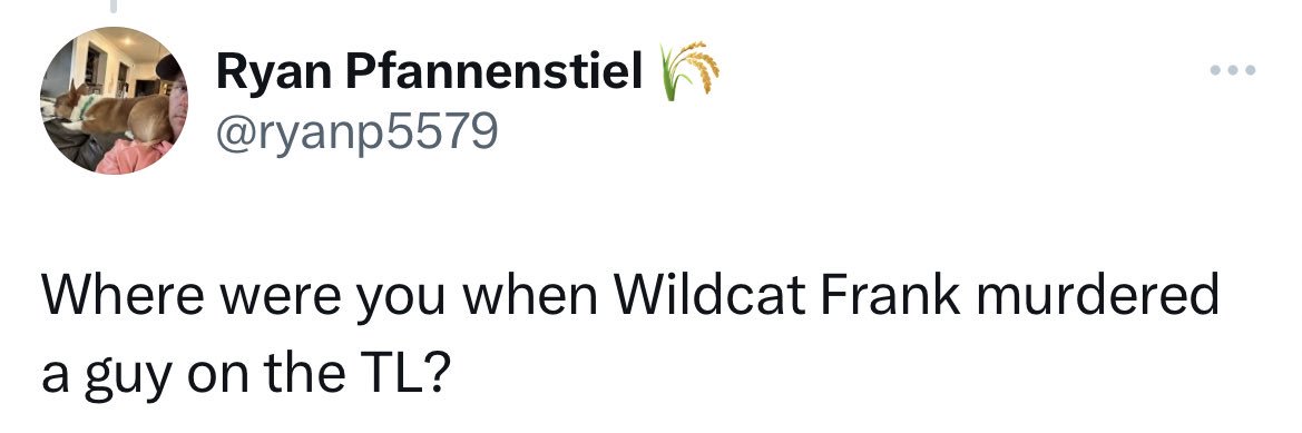 Wildcat Frank's banner