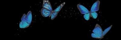 ふ～でえ（古月月）🦋's banner