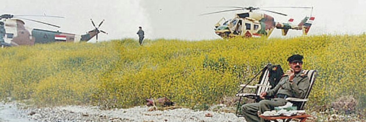 Falcon Falcon's banner