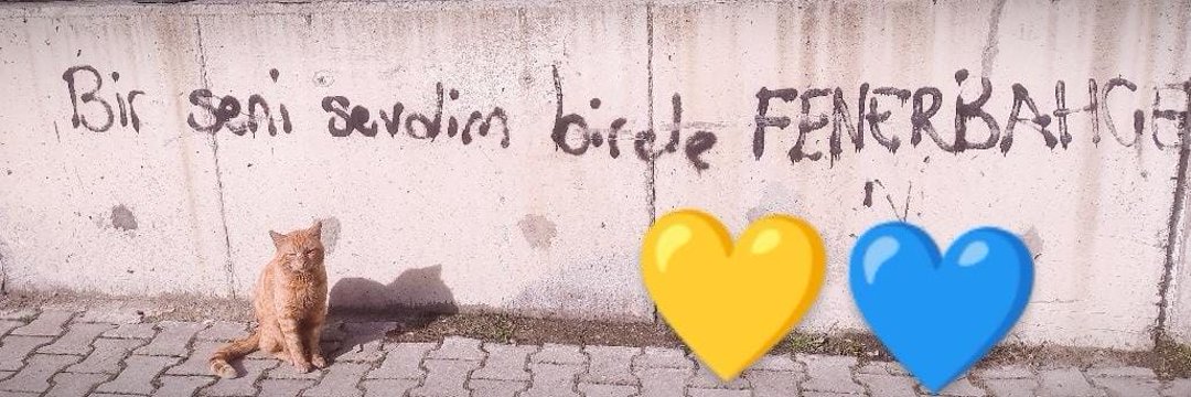 Engin's banner