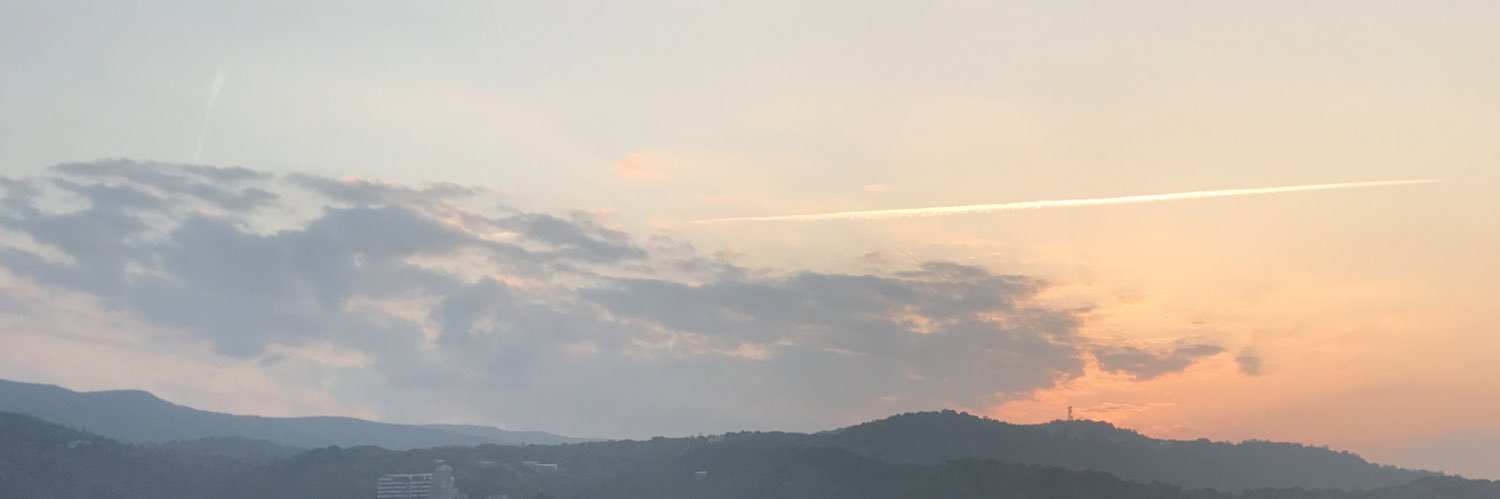 Luca's banner
