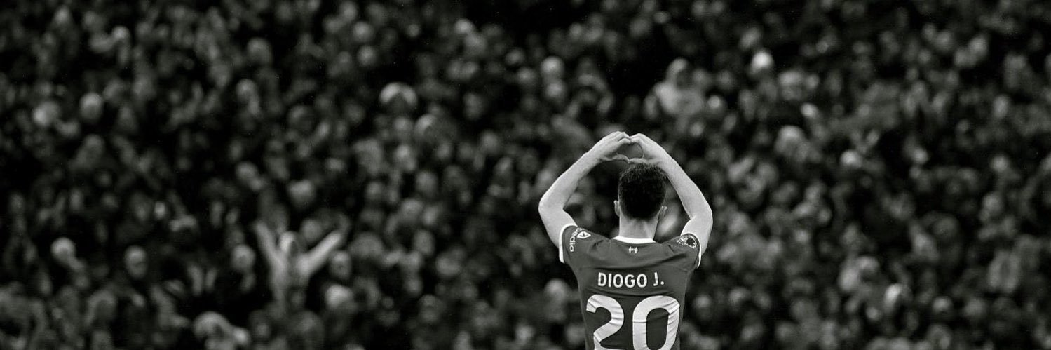 ovo's banner