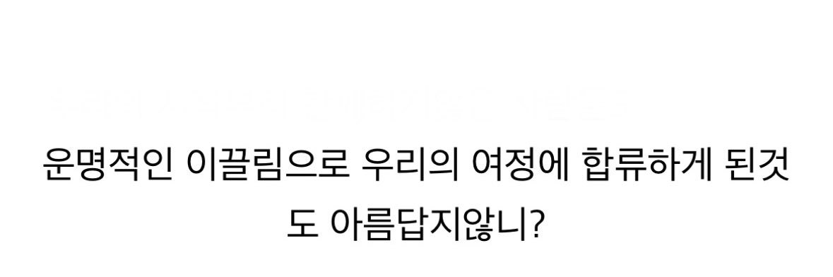 여's banner