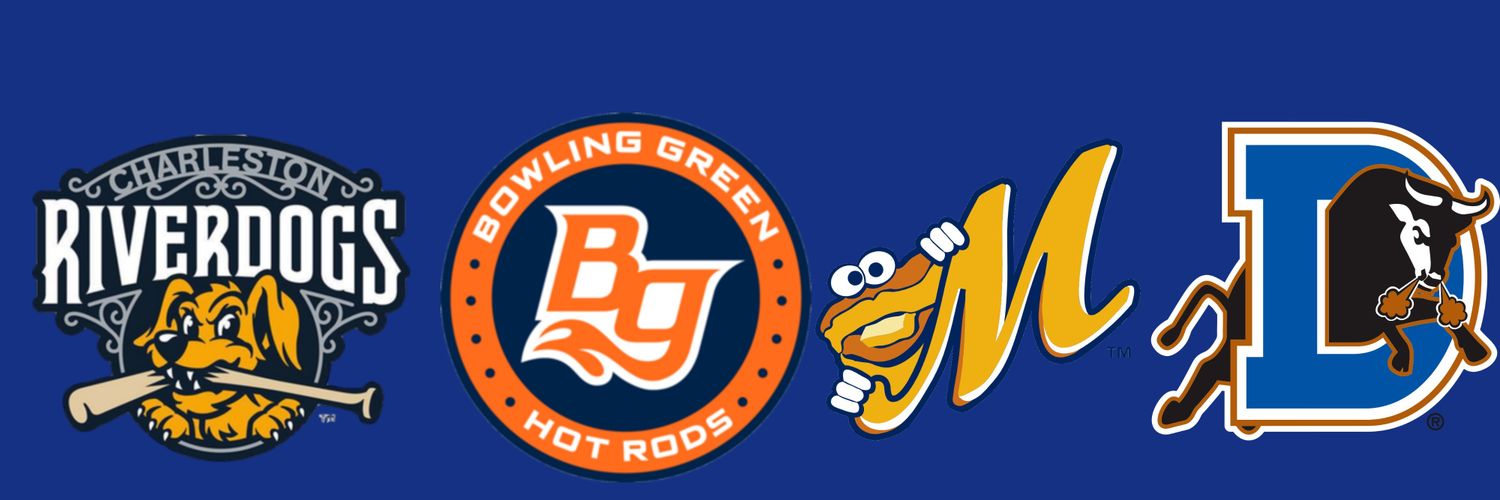 Tampa Bay Rays Minor League Updates's banner