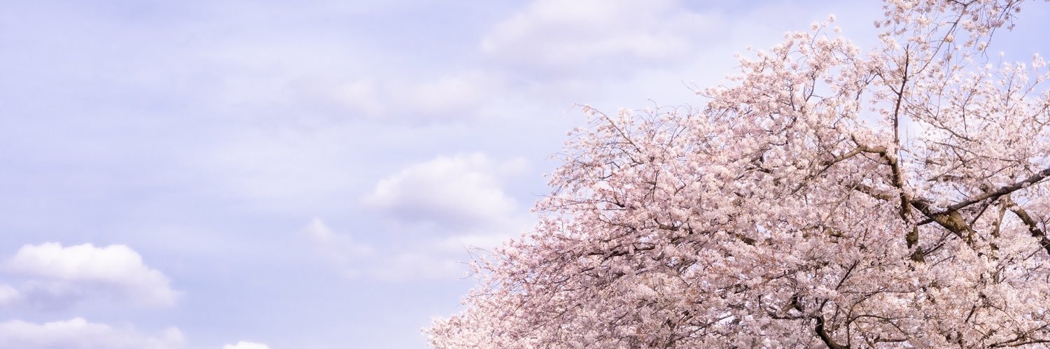 NoRi@写真垢's banner