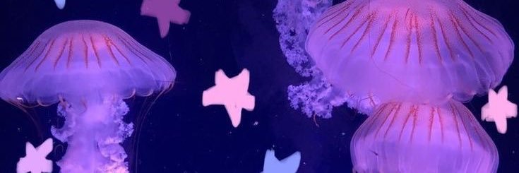 adrian's banner