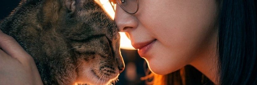 Iͥ͢ aͣ͢mͫ͢ aͣ͢eͤ͢ 🧡's banner