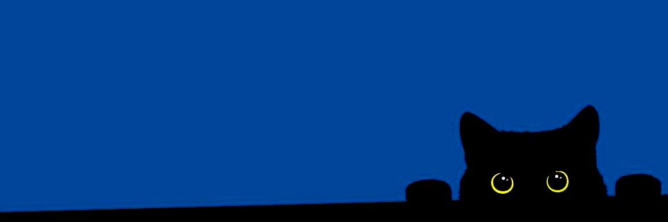 0x79's banner