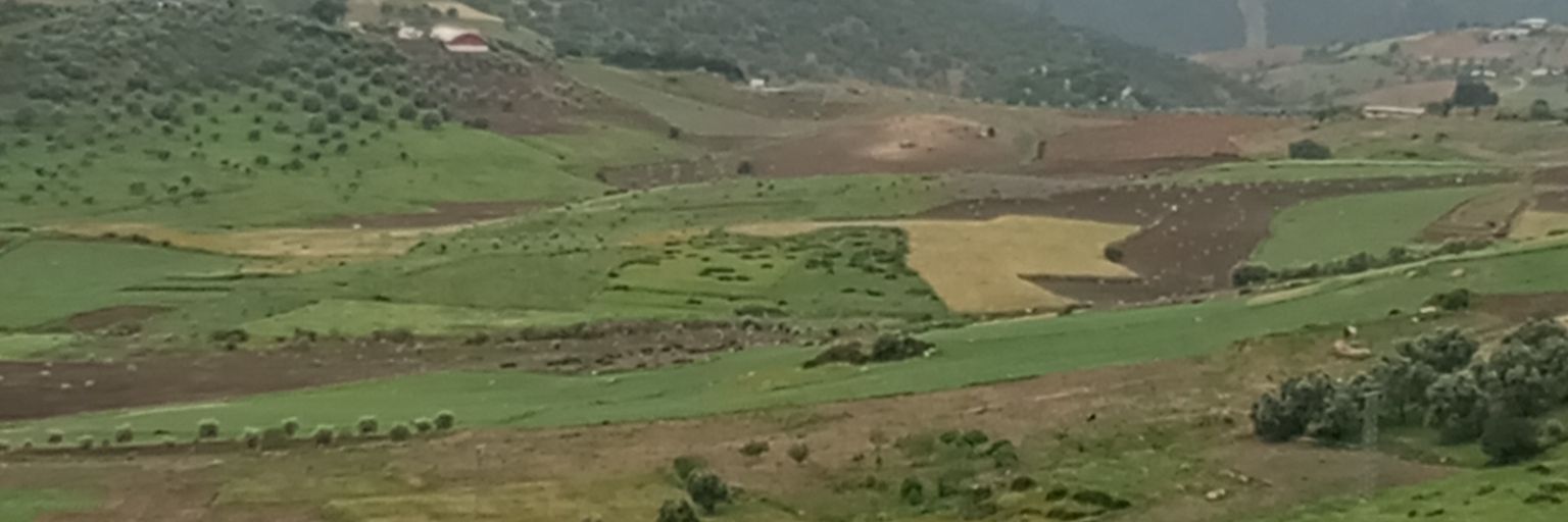 jawad ⵣ's banner