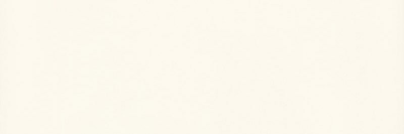 Together Tickets (fan) 🪩's banner