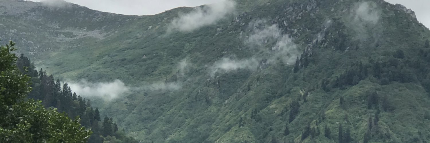 merdo47's banner