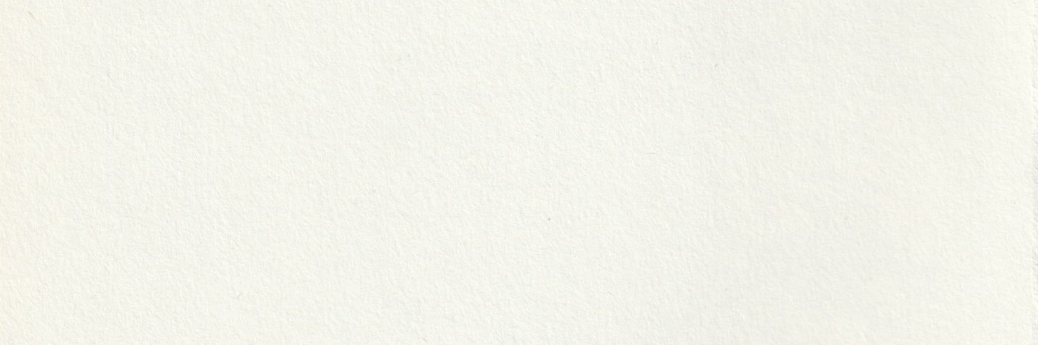 ༺ ☘︎ ༻'s banner