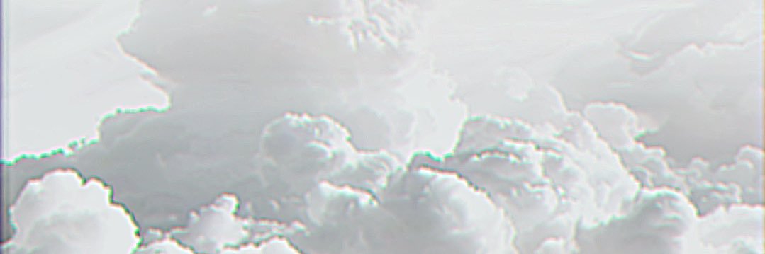 白木's banner