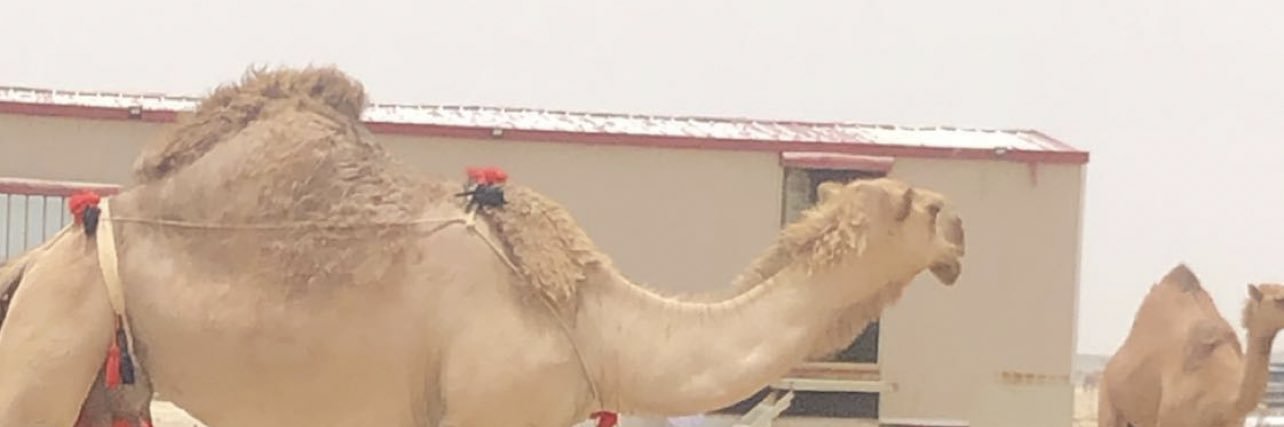 راع الأولة's banner