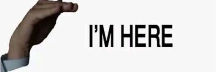 Random Nyindir's banner