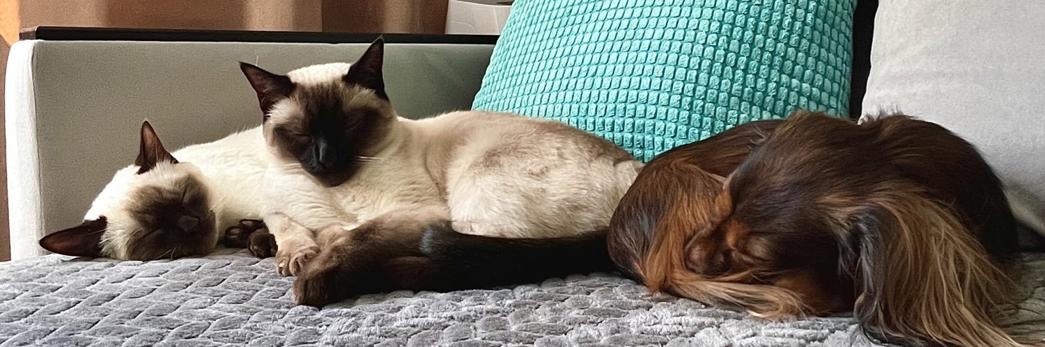 Матерь котья's banner