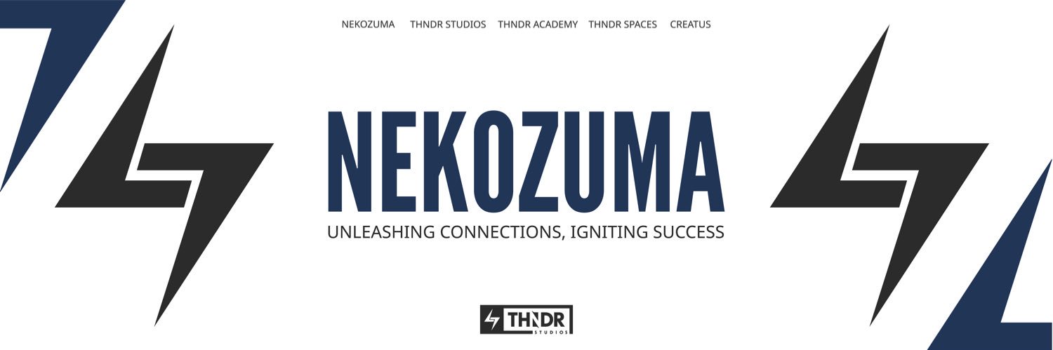 NKZM⚡️'s banner