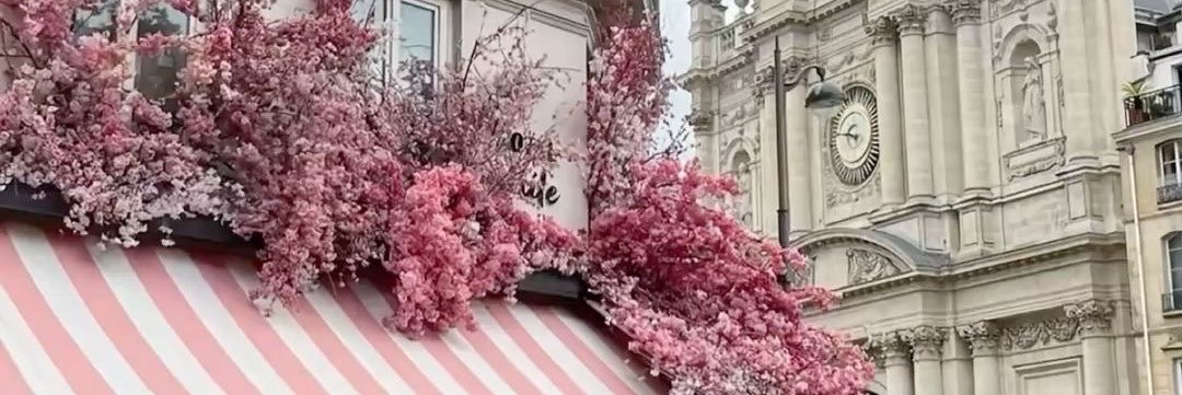 𝓹𝓲𝓲𝓷𝓪 𝓴/𝓲𝓪 🎡🍰 𐙚⋆.˚'s banner