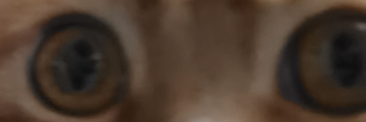 教练！我想学变娃！'s banner
