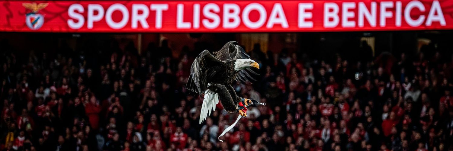 Benfica Power Women🦅❤'s banner