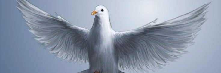 Katia Magalhães's banner
