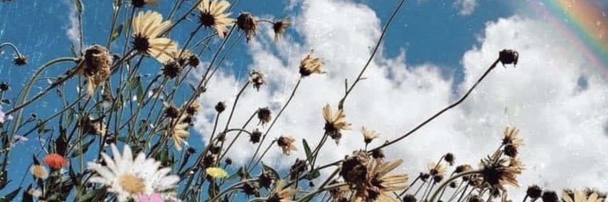 daixyjira◞✿'s banner