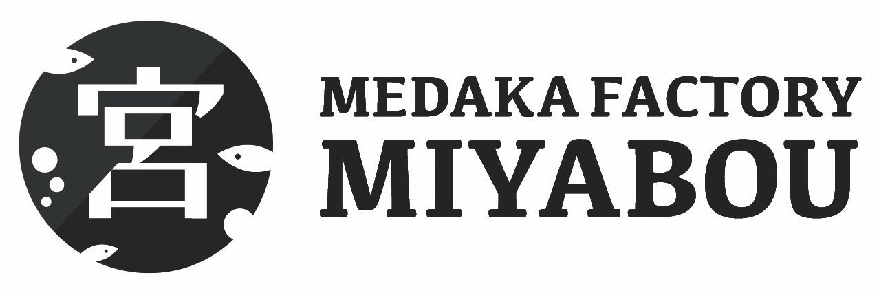 メダカ屋　宮坊's banner