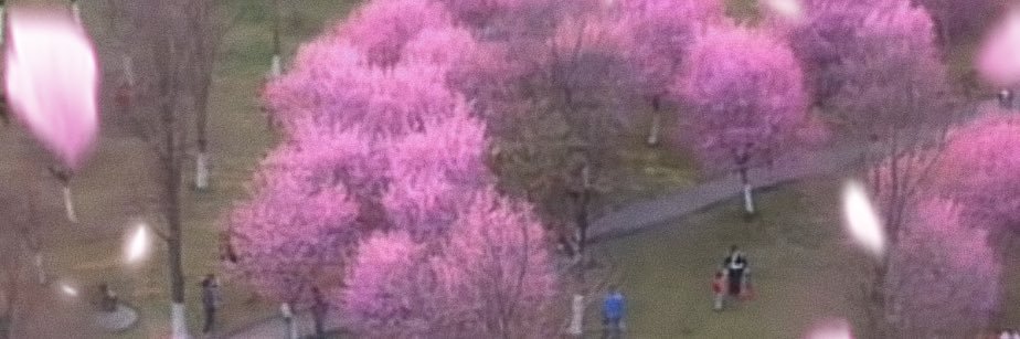 张绮恩's banner