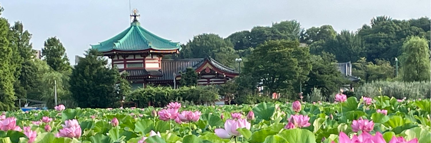 ぼくちゃん's banner