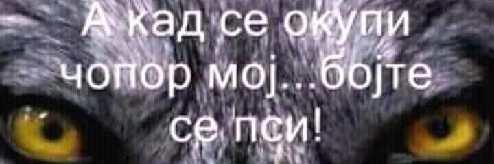 Mile Bajšev Велики Ћаци's banner