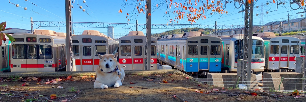 すゞ柴's banner