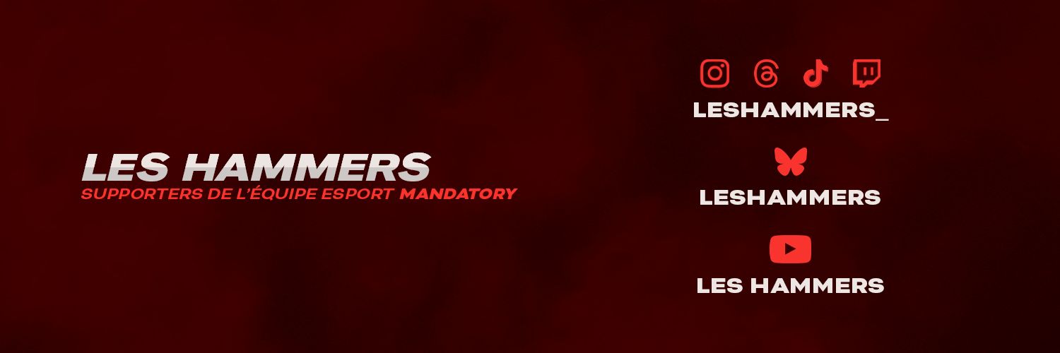 Les Hammers 🟥🔨's banner
