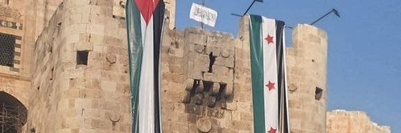 أحمد حسن's banner