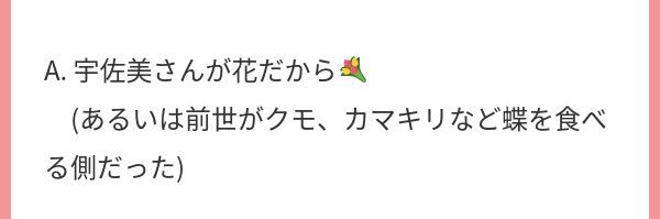 宇野美's banner