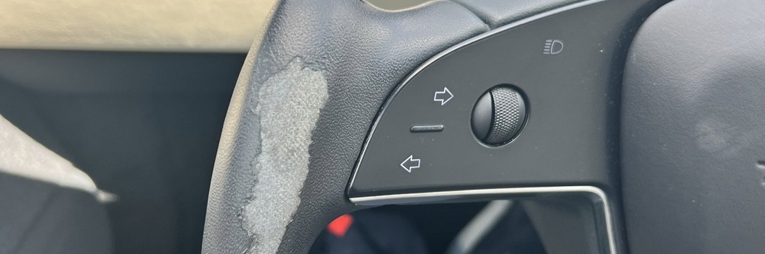 La Verdad de Tesla's banner
