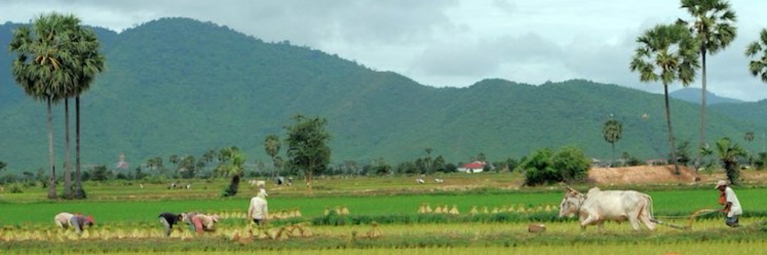 irfan ansari (PALAMU)'s banner