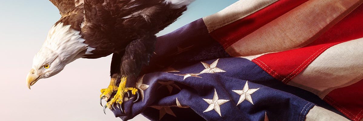 Ellie May❤️🤍💙's banner