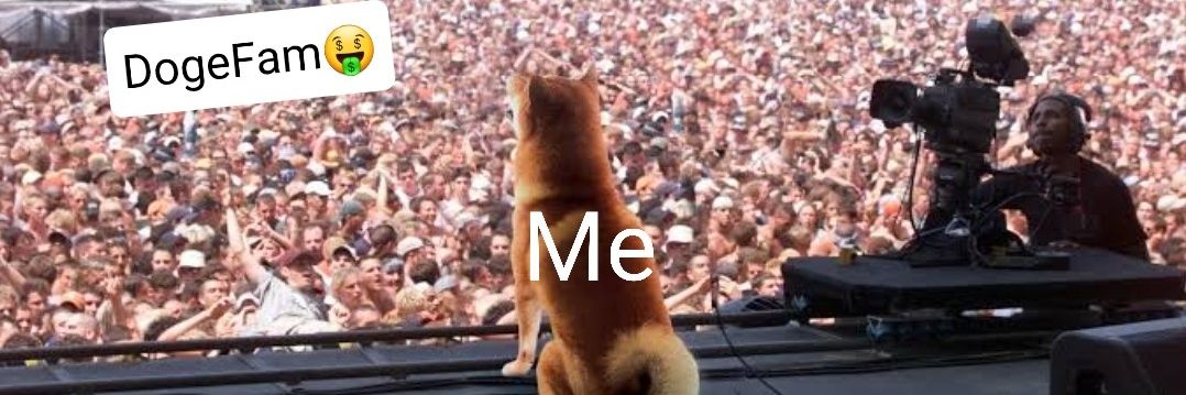 Dogeboy-;🐶Follows back🐶's banner