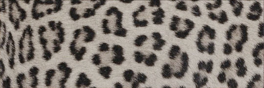 mariah's banner