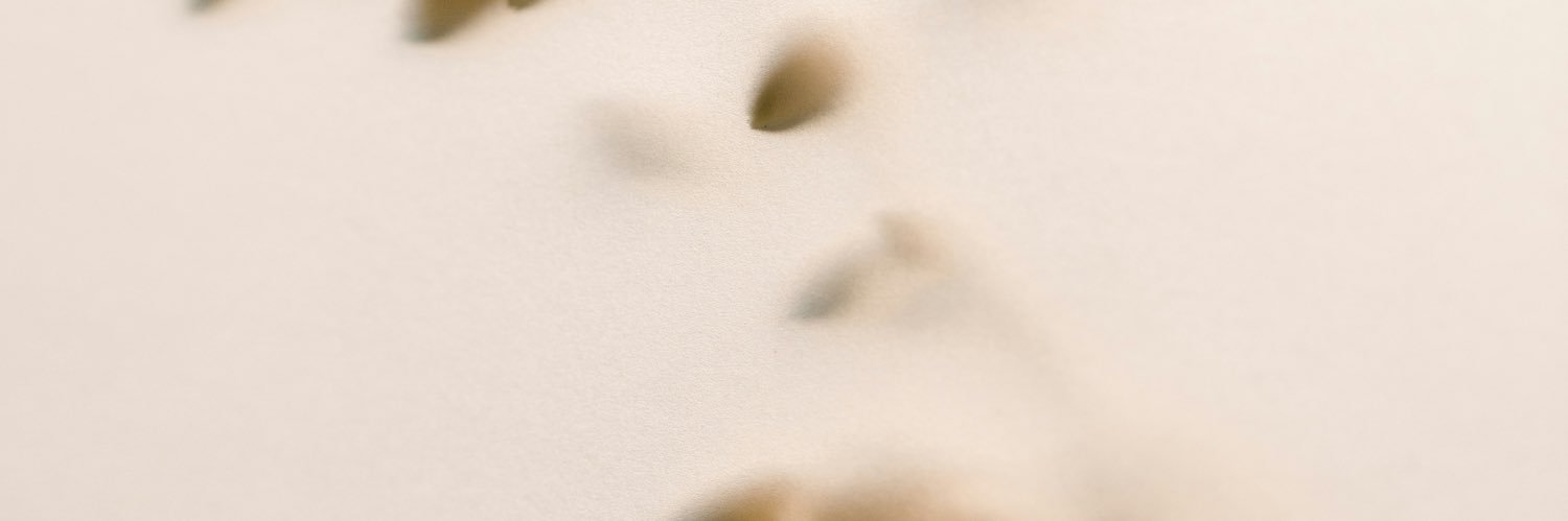 vazu's banner