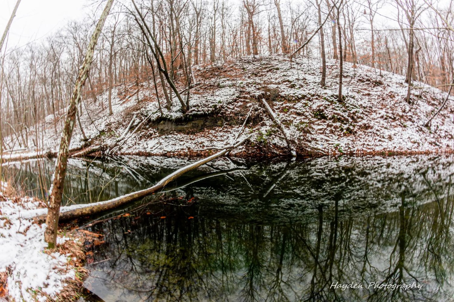 Hayden Photography's banner